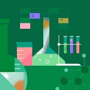 Meet your Posher, Brandi